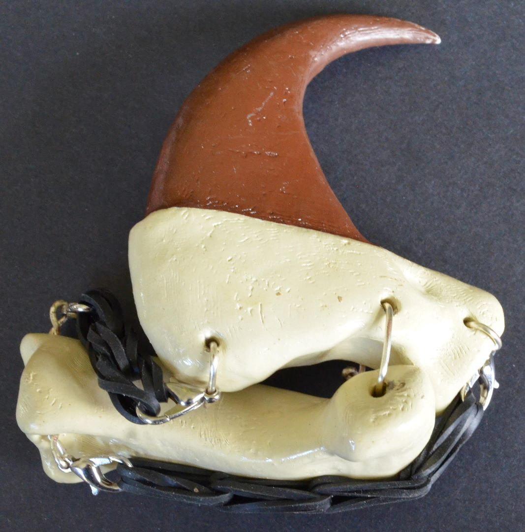 Sheathed claw model used in the Paws and Claws outreach activity