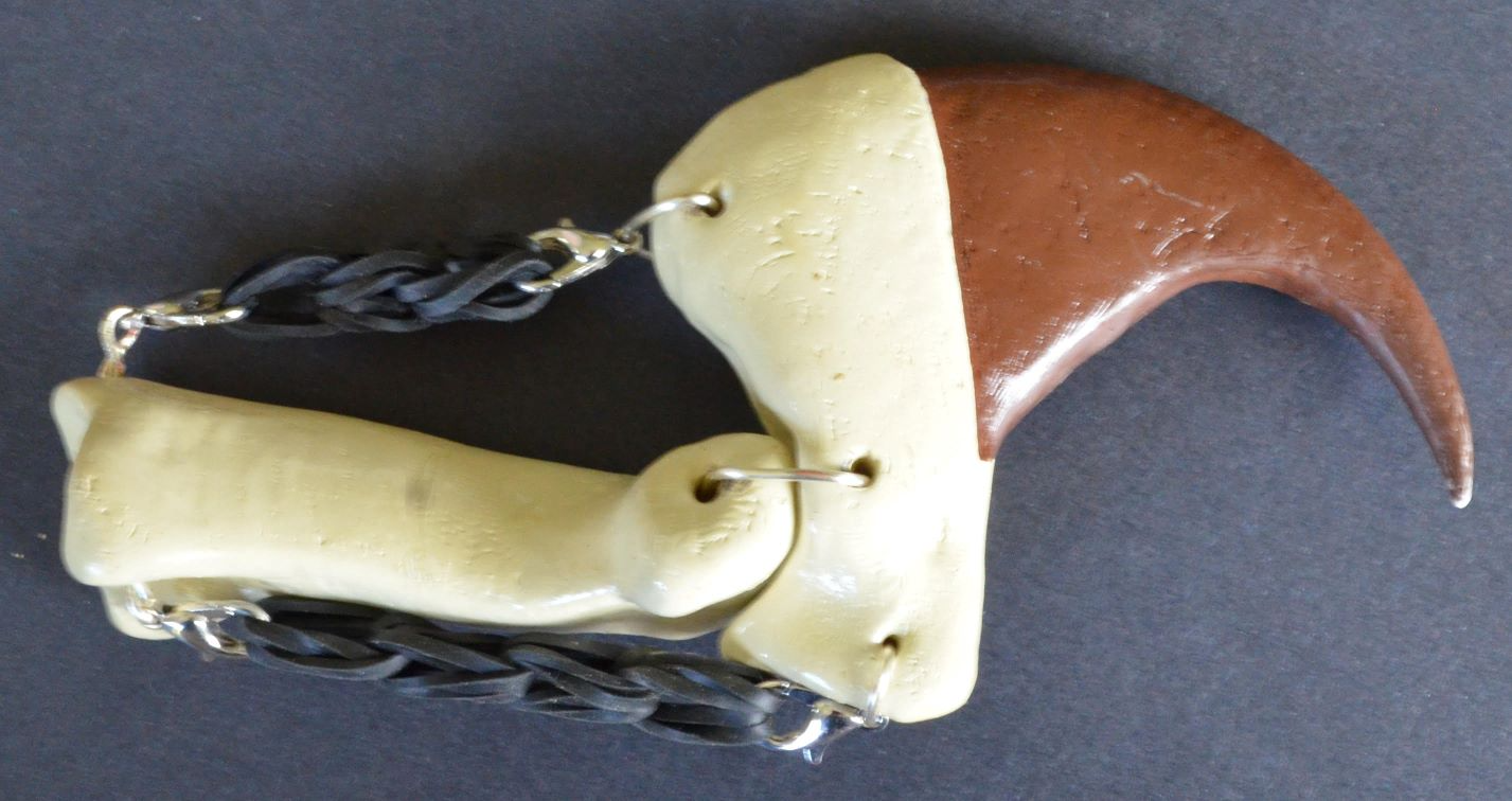Extended claw model used in the Paws and Claws outreach activity