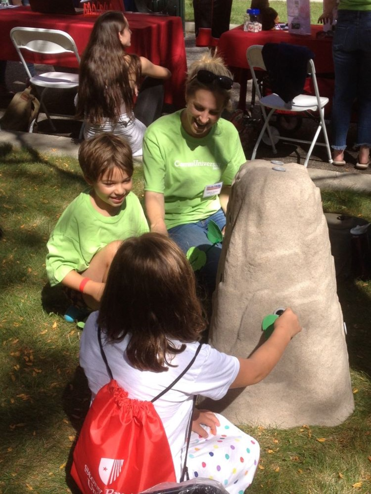Chimpanzee termite-fishing activity at CommUniversity Day