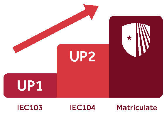 up program steps