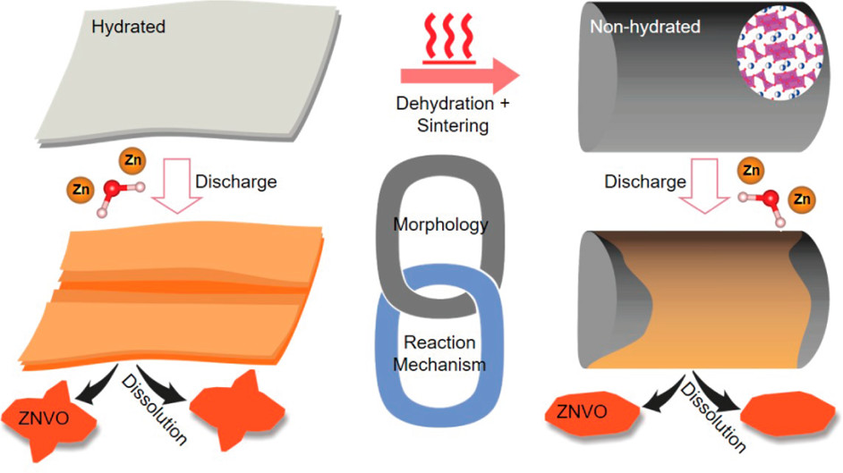 Scientific diagram
