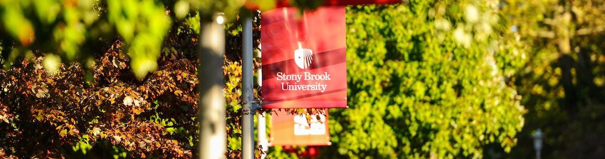 Stony Brook University flag on campus