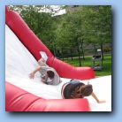 [Click to enlarge image]