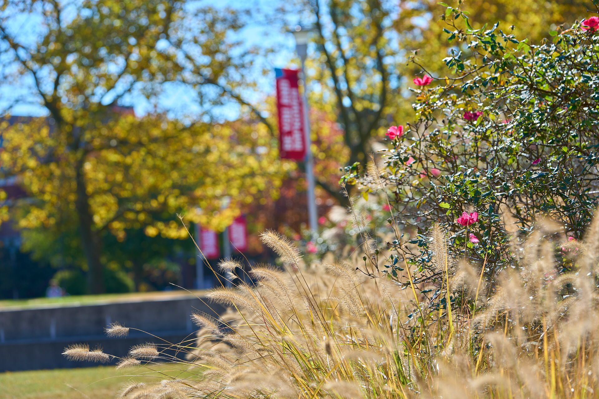 fall campus