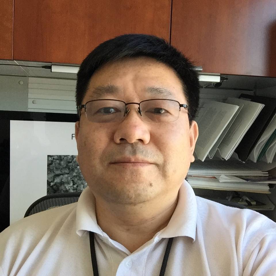 Hong Gan headshot