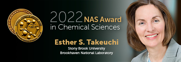 2022 NAS Award in Chemical Sciences image