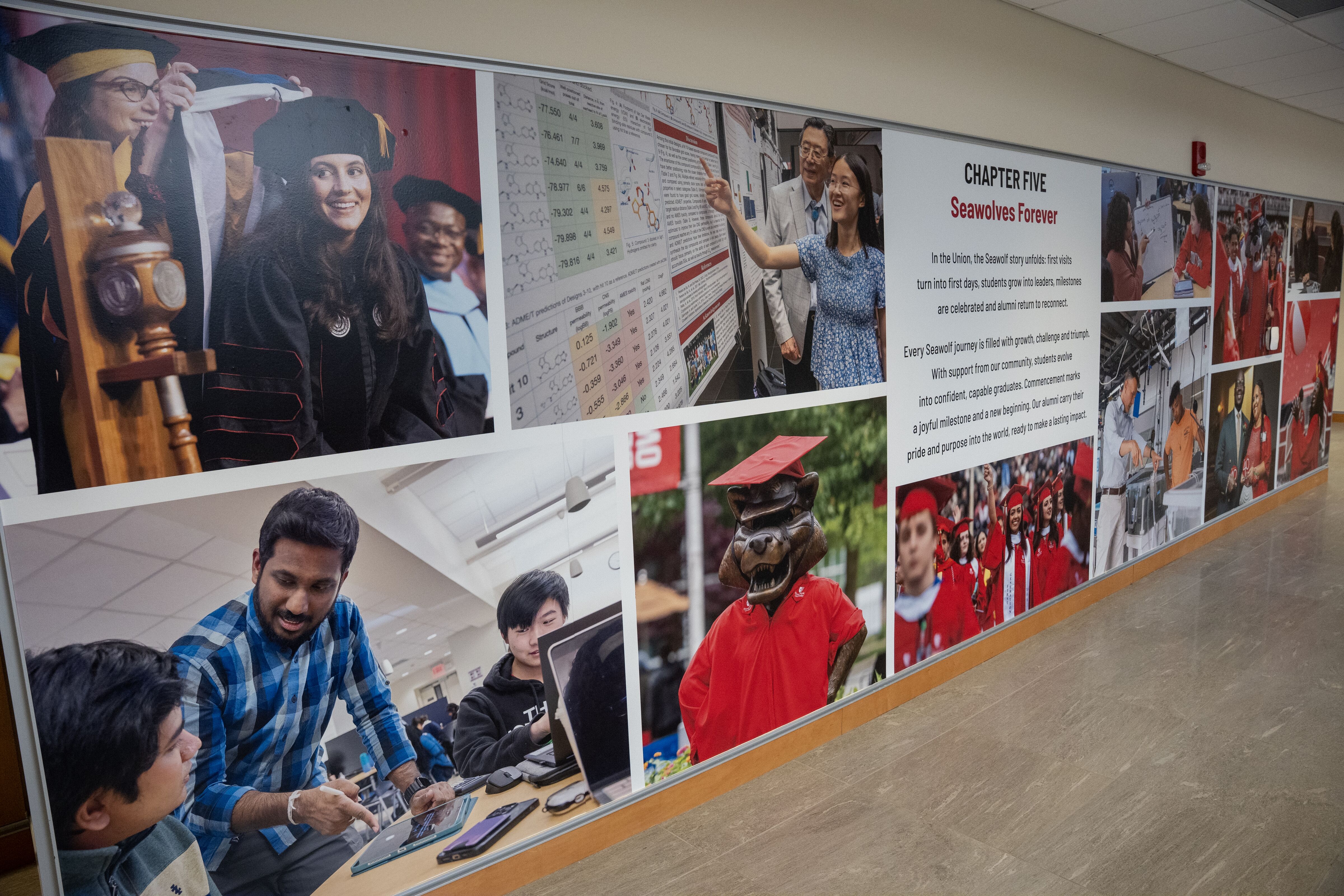 A wall mural collage features campus photographs of students and the university mascot next to a text panel titled "CHAPTER FIVE: Seawolves Forever."
