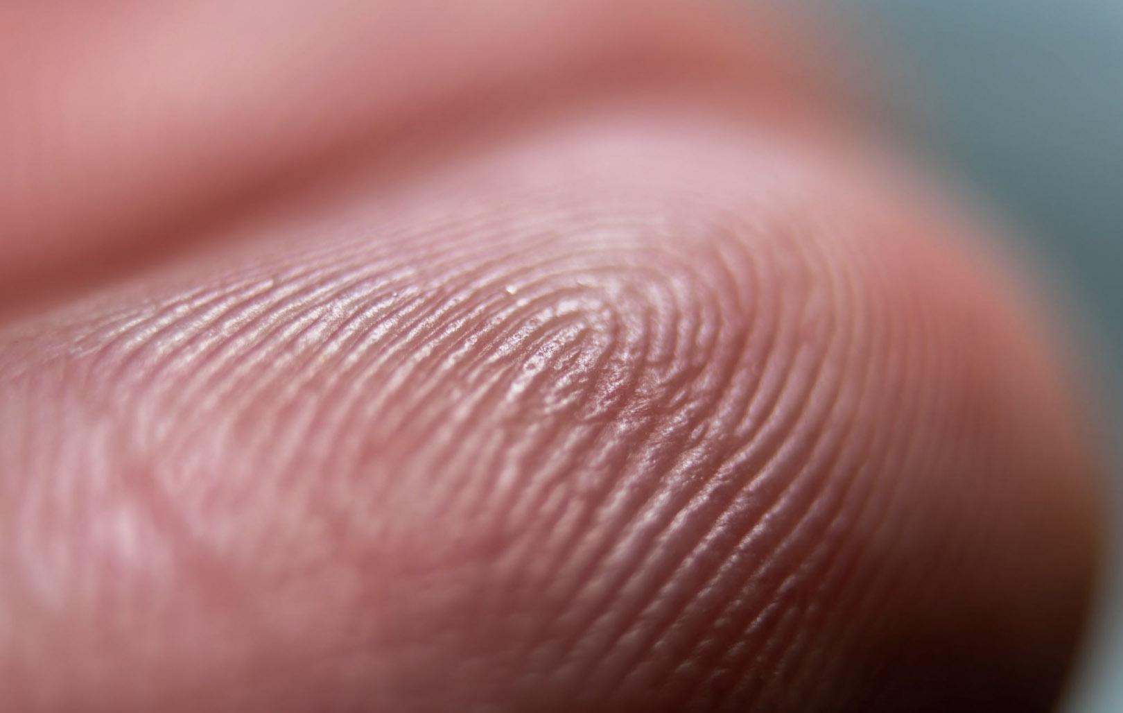 fingerprint