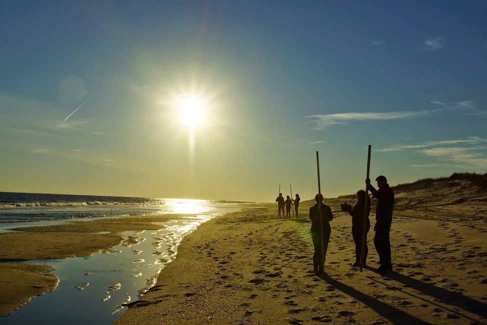 Students conduct a beach survey at sunset