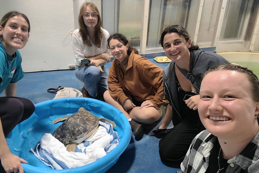SBU Mechanical Engineering students and advisor, Leana Grotz, around a pool with Chestnut, an injured sea turtle
