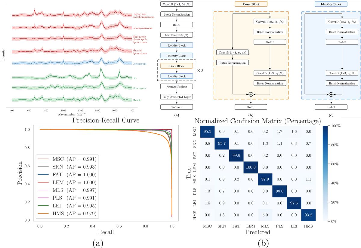 Raman measurements were shown in the upper-left graph. A custom ResNet machine learning architecture was developed to classify different tissue types, achieving an overall weighted accuracy of 97.1% and a clinical alert rate of 1.46%.