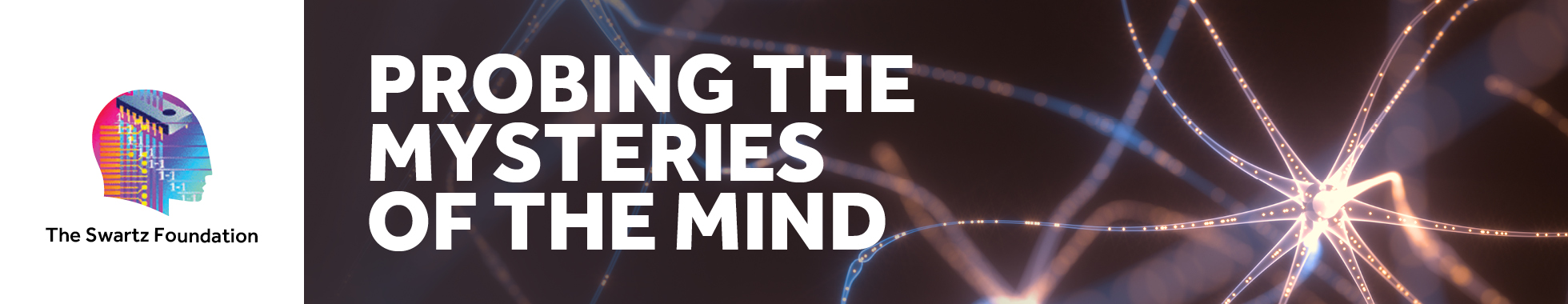 mind/brain lecture series at stony brook university