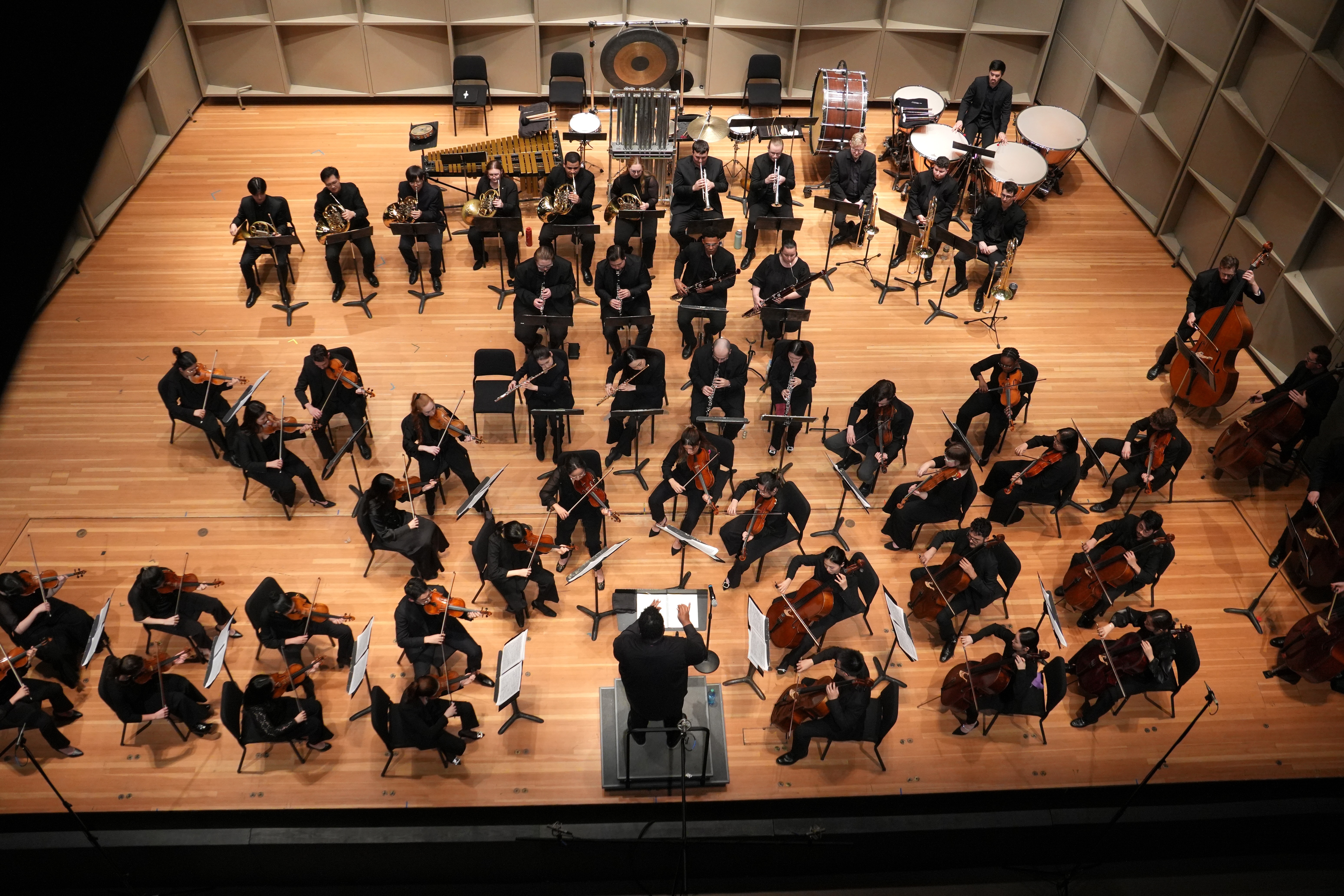 Stony Brook Symphony Orchestra