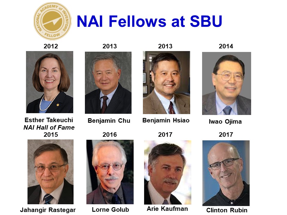 NAI-SBU Fellows