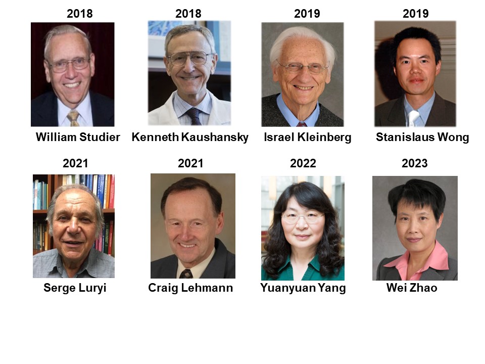 NAI-SBU Fellows