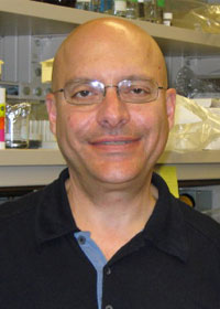 Dr. Simon Halegoua