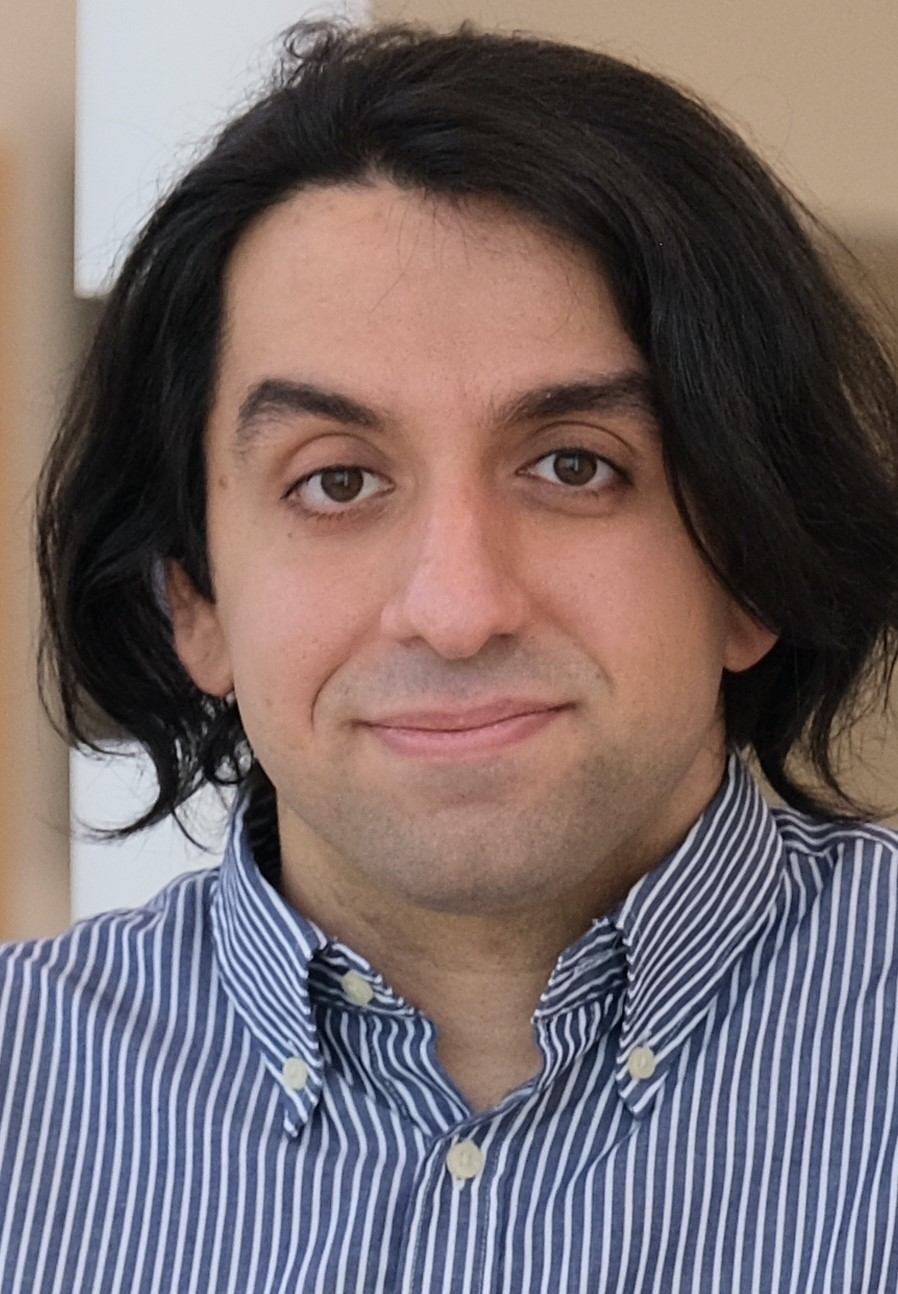 Sina Rashidian