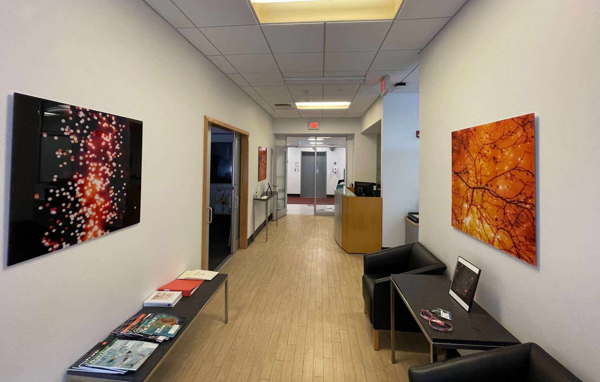 Main office with neuron-like art on the walls