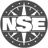 NSE logo