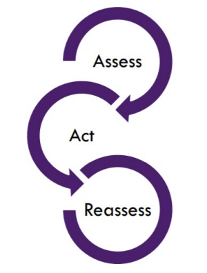 Assess Act Reassess Cycle Assess Act Reassess Cycle