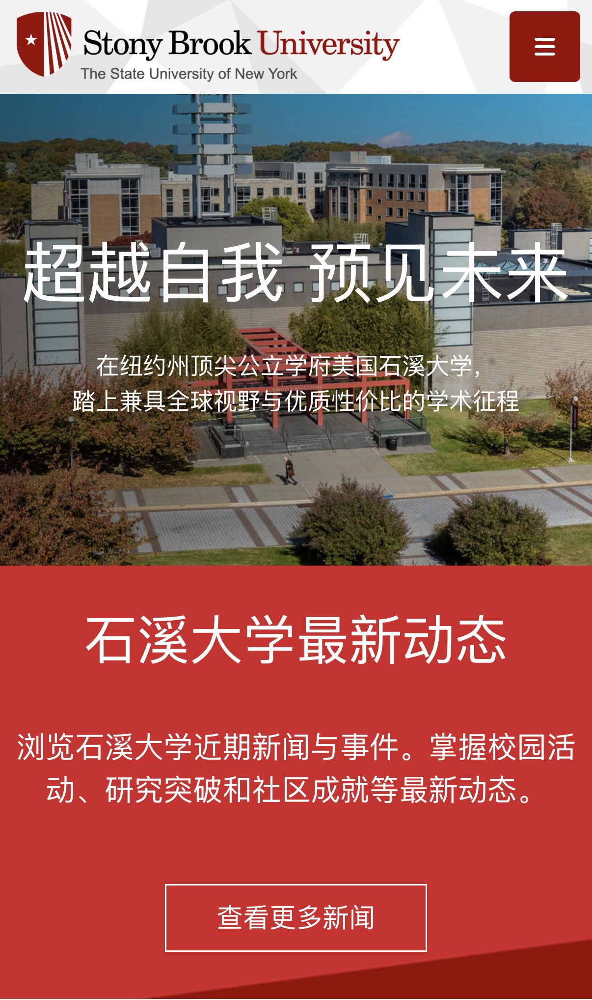 Chinese language microsite