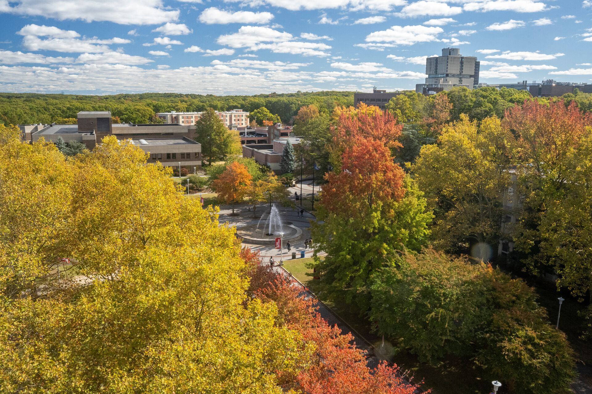 a fall campus image