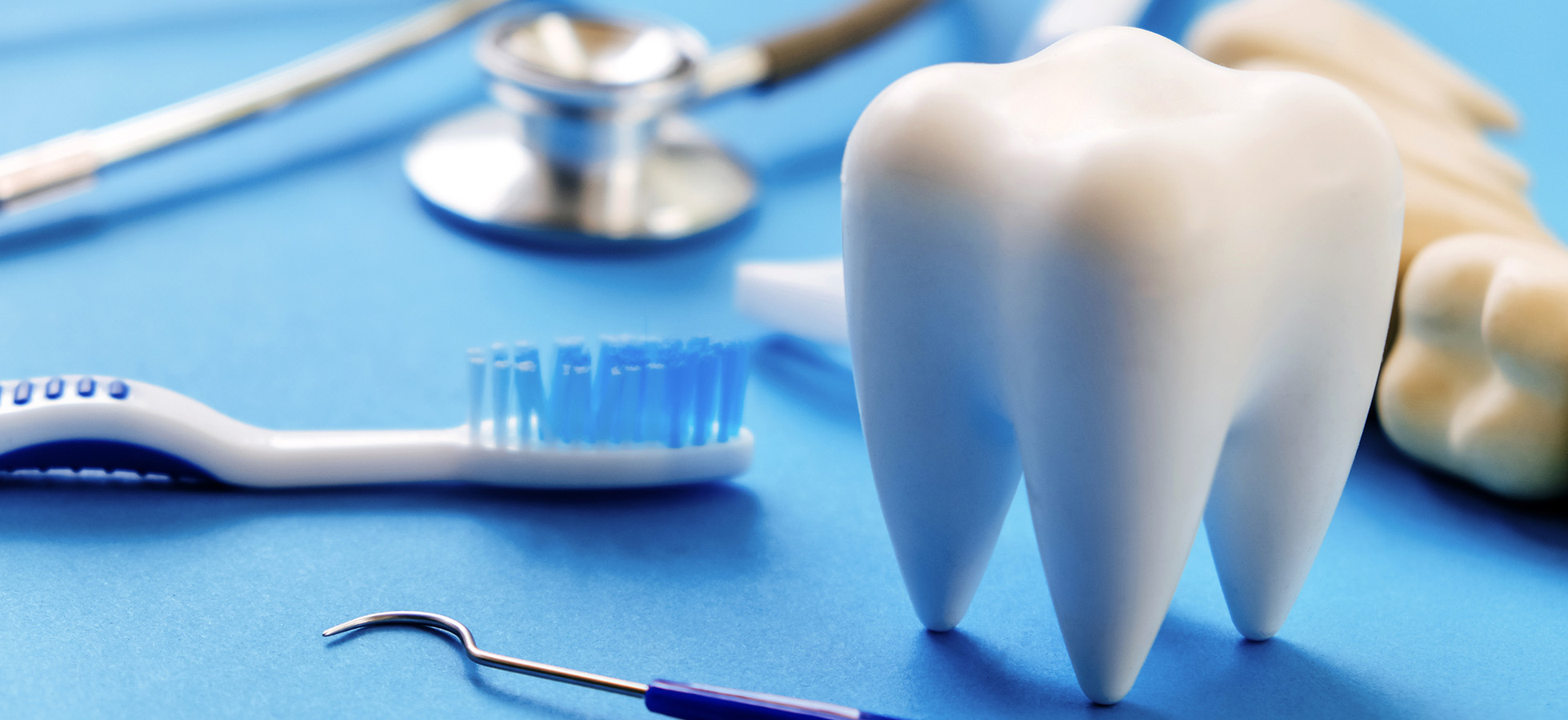 Dental sciences tools including a toothbrush, tooth model, and dental instruments.