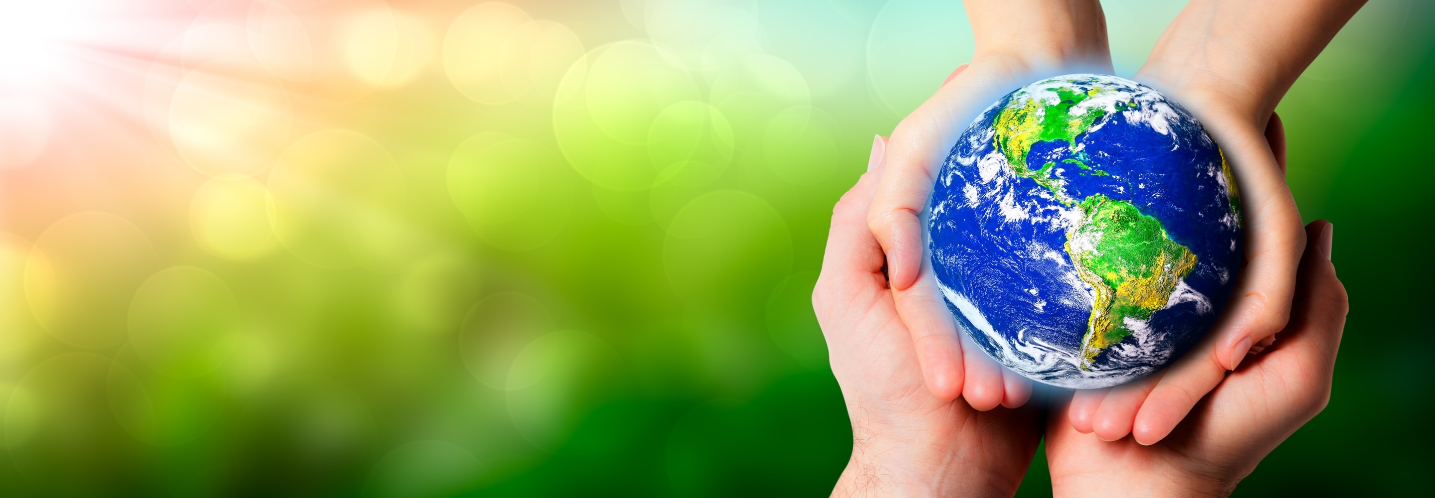 Multiple hands gently cradling a small glowing globe of Earth against a bright green, sunlit background.