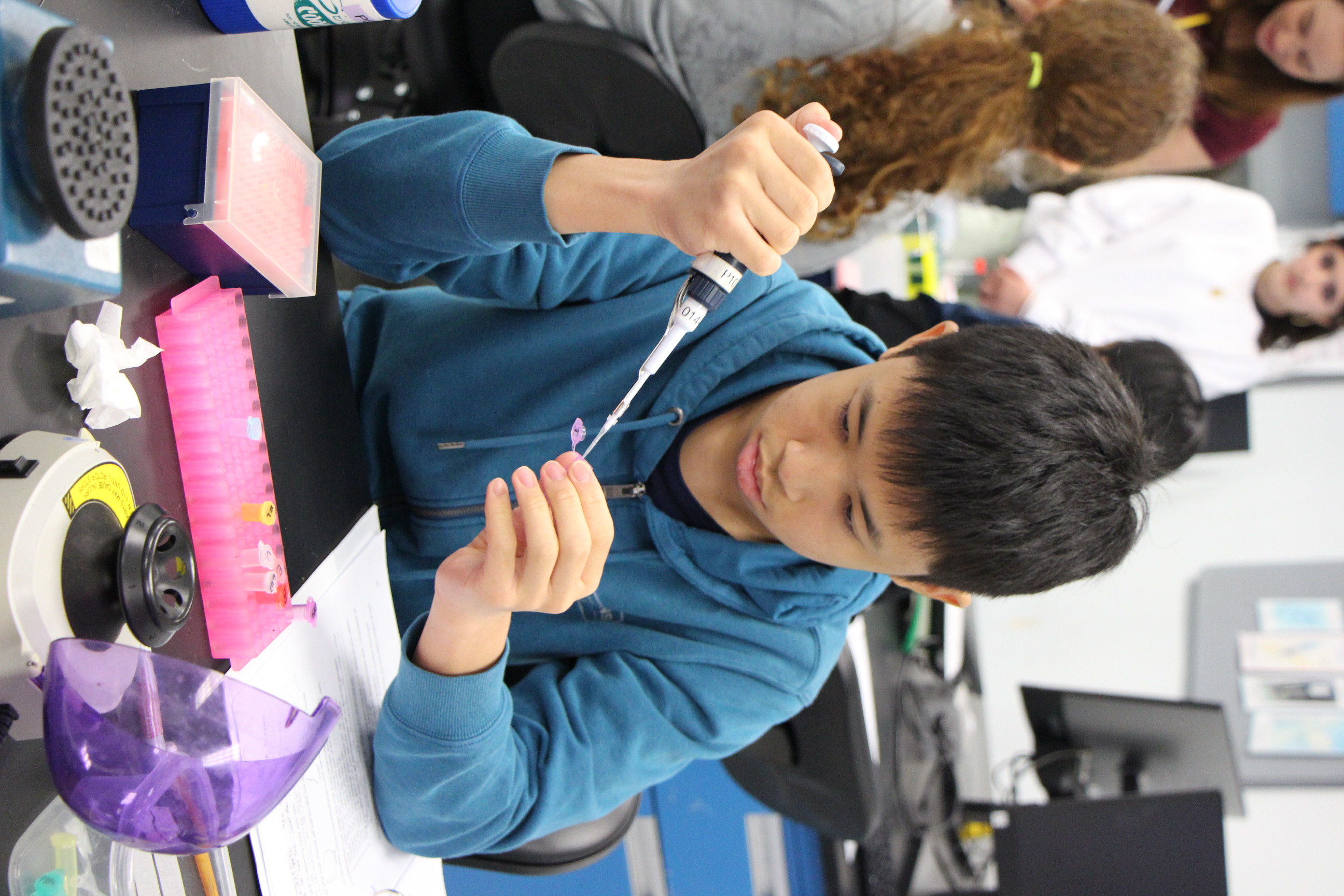 A high school student carefully uses a micropipette to work with a sample during a biology laboratory session.