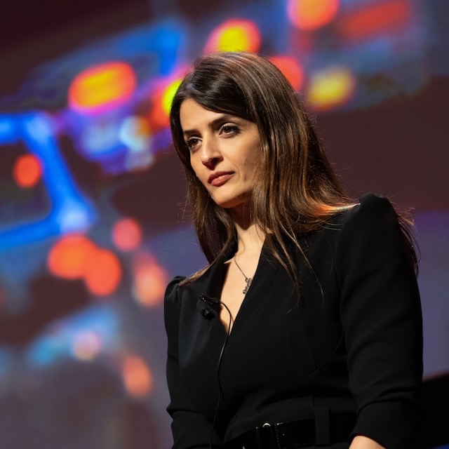 A faculty member gives a research talk