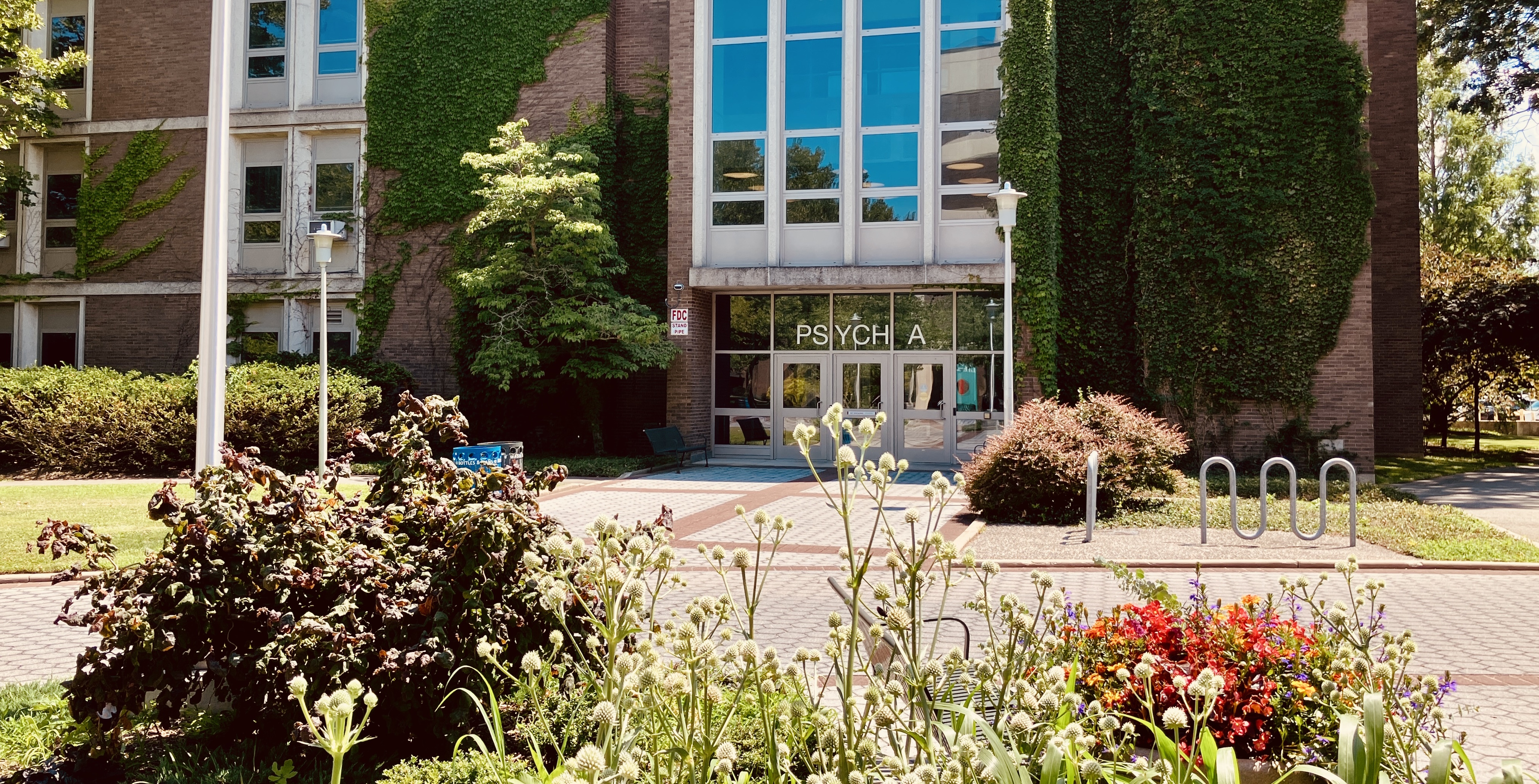 Stony Brook University campus spring
