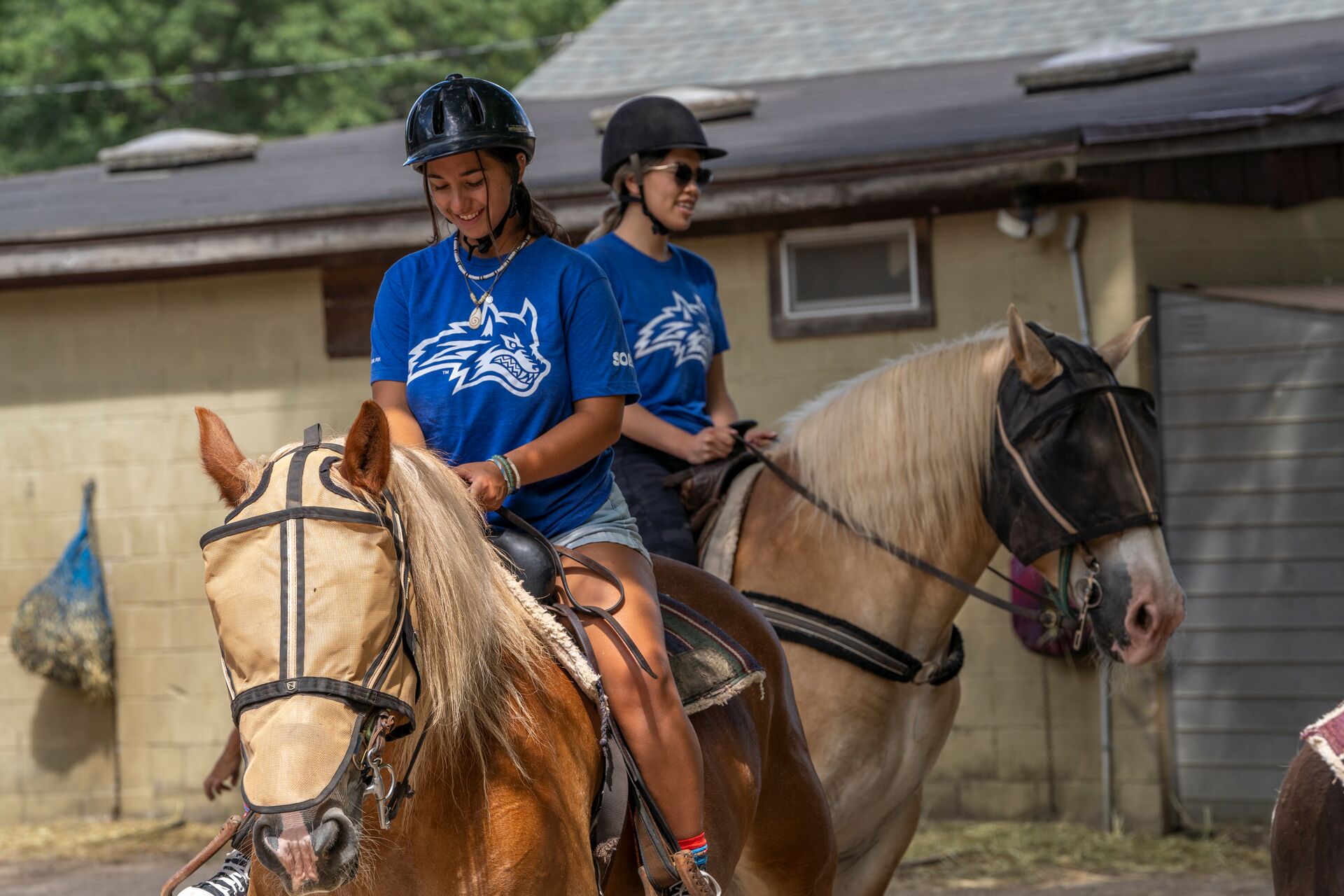 horseback-riding-activity-image