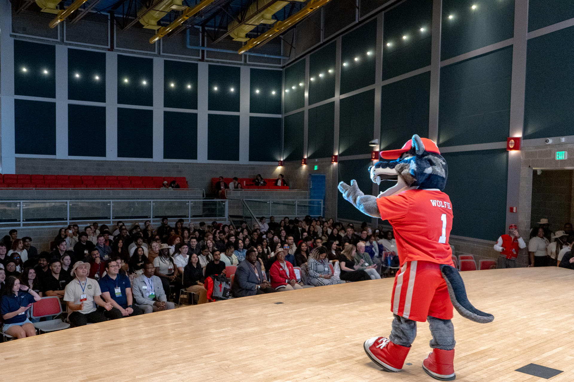 Wolfie addressing a crowd.