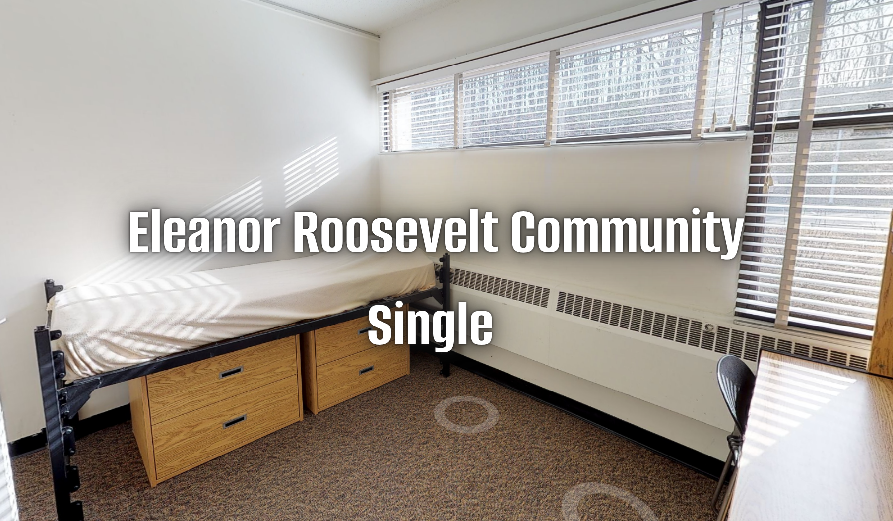 Eleanor Roosevelt single virtual tour
