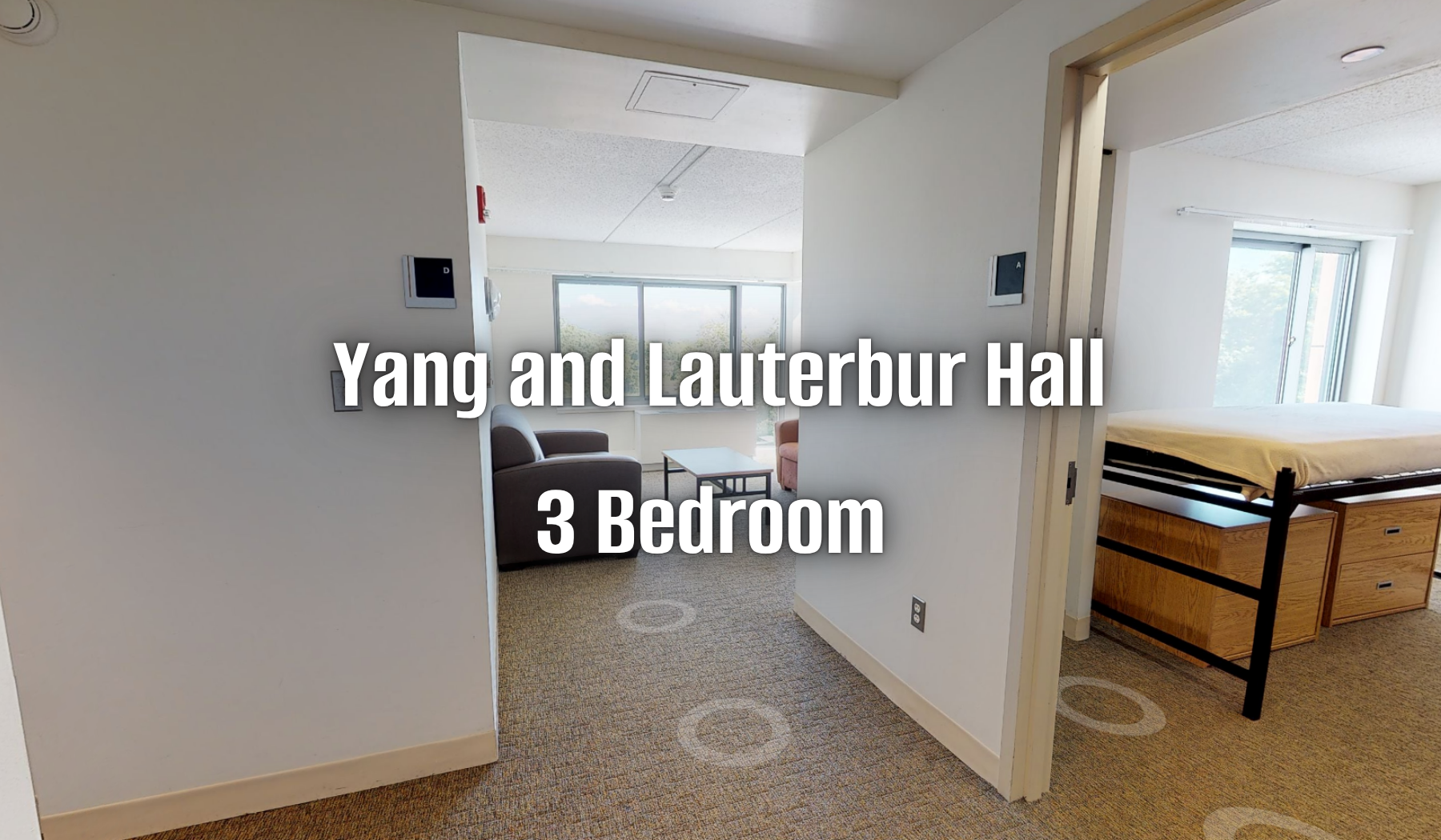 Yang and lauterbur 3 bedroom virtual tour