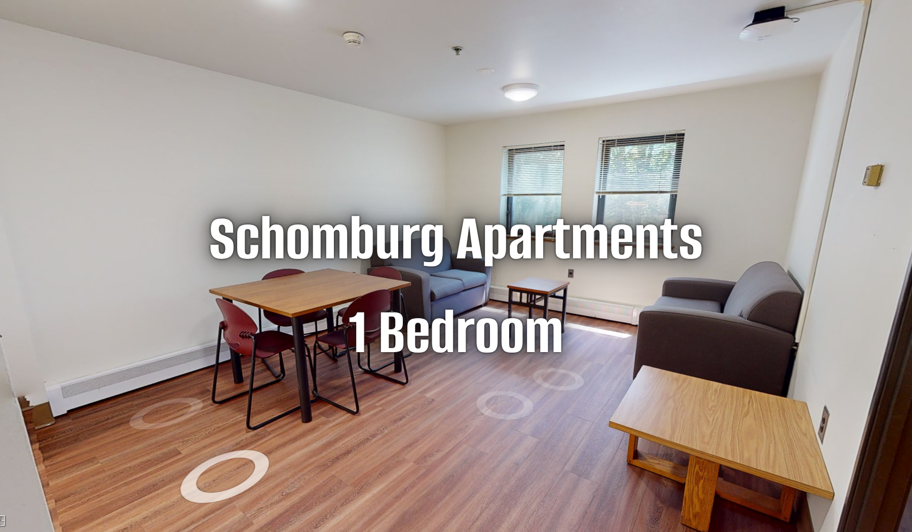 schomburg 1 bedroom virtual tour
