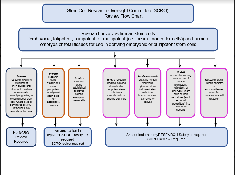 Research Oversight Committee review path chart