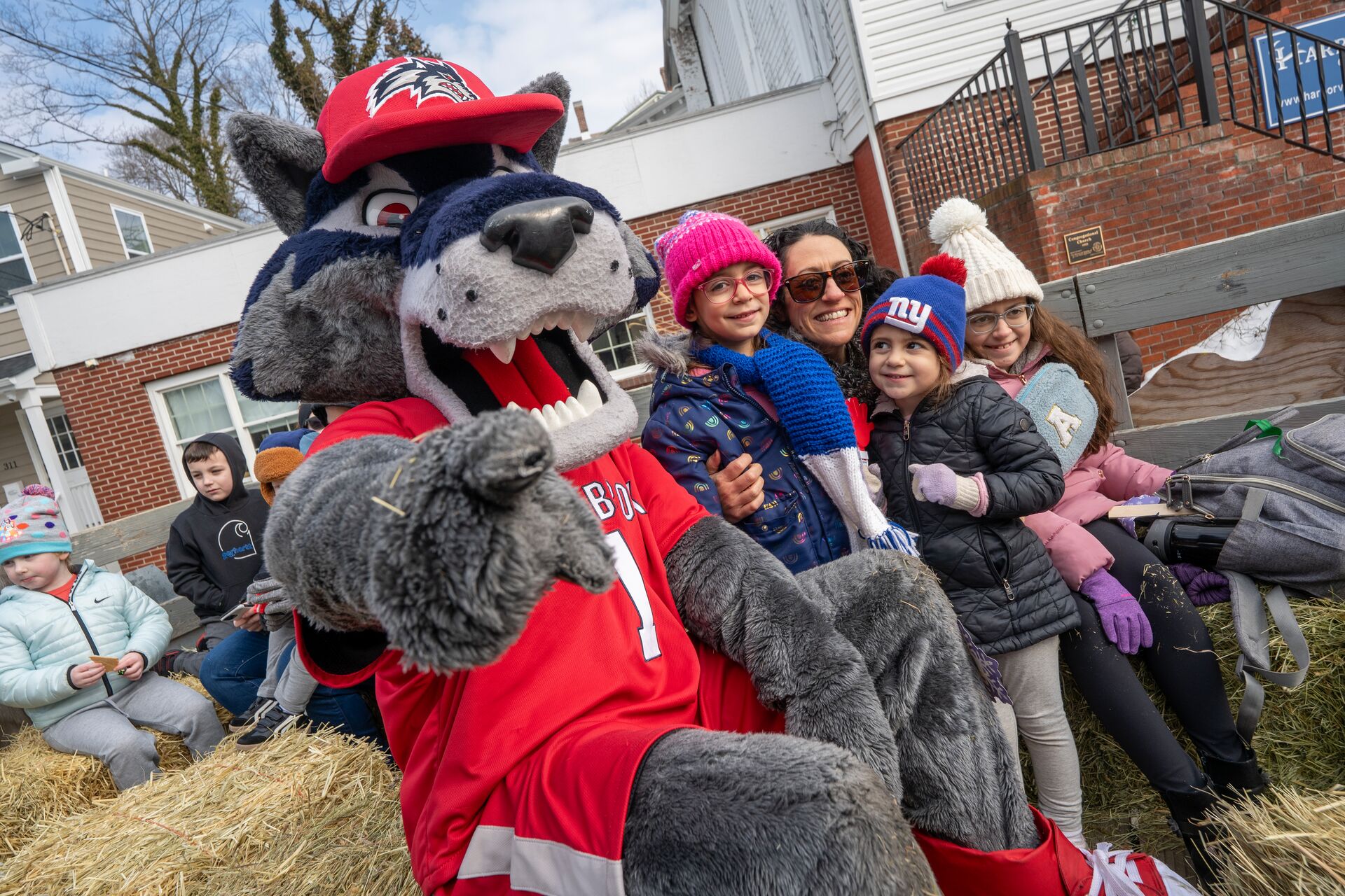 port jefferson wolfie