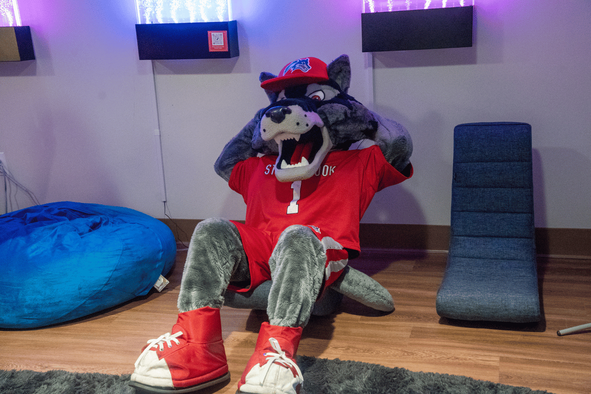 Wolfie in the Sensory Room