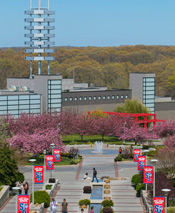 students on campus