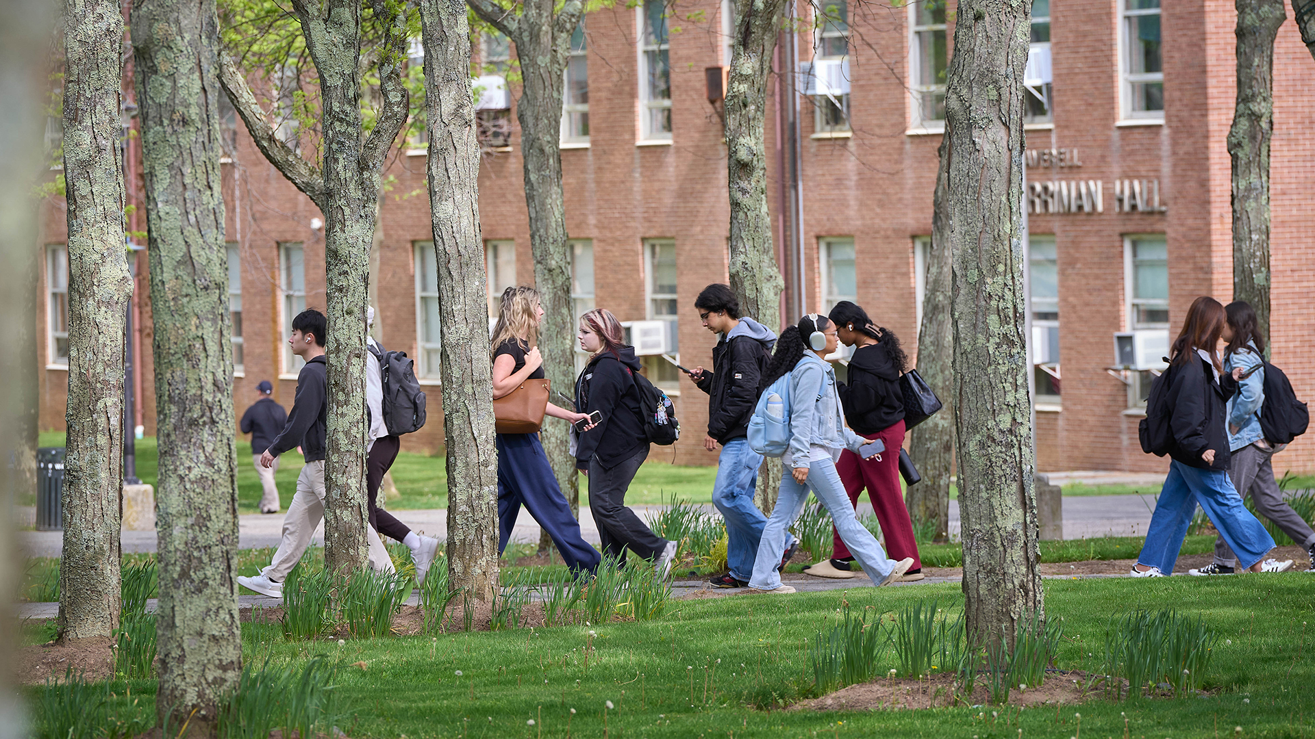 Students walking between trees on campus.