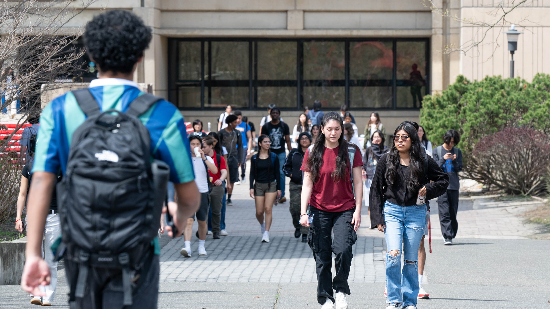 A large group of students walking together from class.