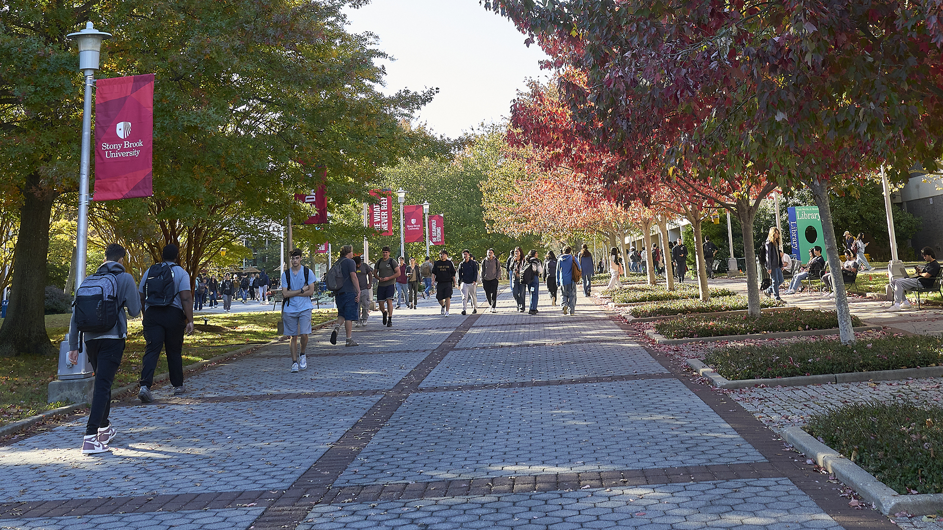 Students walking on campus underneath trees.