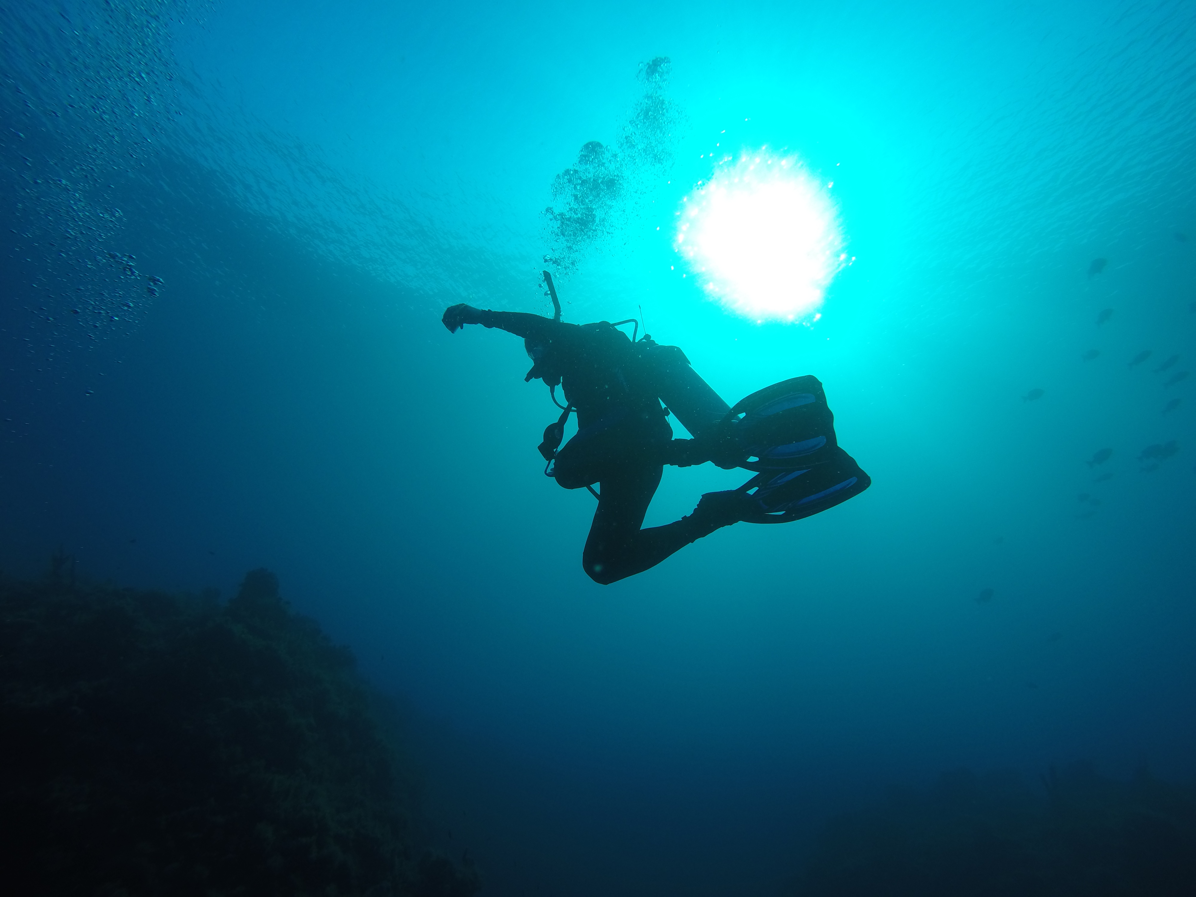 SoMAS student scuba diving in the open ocean