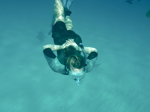 MCP Student Kate Maio snorkeling with sharks at the Bimini Biological Field Station, Bahamas (photo credit Cictoria Panuccio)