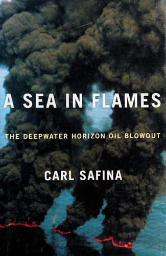 Book cover for A Sea in Flames