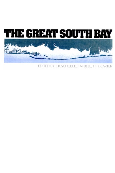 Book cover for The Great South Bay