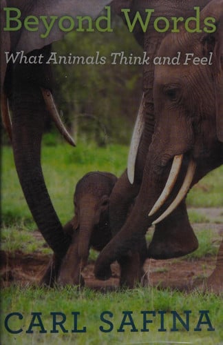Book cover for Beyond Words What Animals Think and Feel