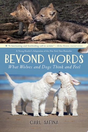 Book cover for Beyond Words: What Wolves and Dogs Think and Feel