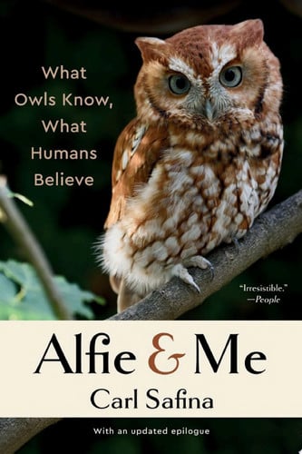 Book cover for Alfie and Me: What Owls Know, What Humans Believe